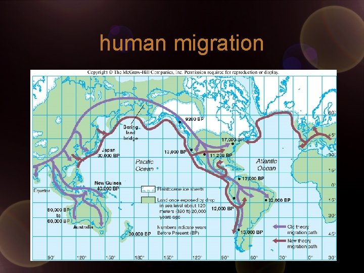 human migration human migration