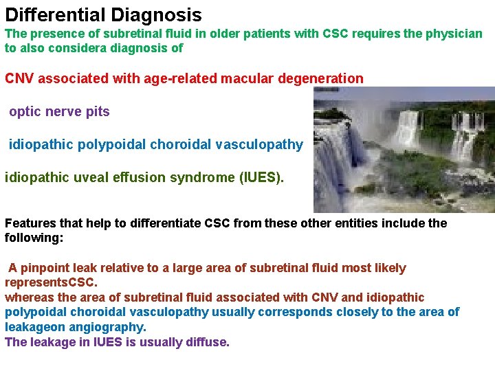 Differential Diagnosis The presence of subretinal fluid in older patients with CSC requires the Differential Diagnosis The presence of subretinal fluid in older patients with CSC requires the
