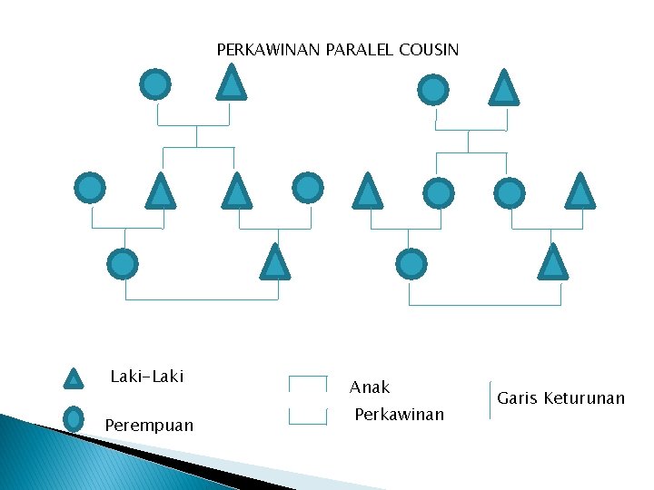 PERKAWINAN PARALEL COUSIN Laki-Laki Perempuan Anak Perkawinan Garis Keturunan 