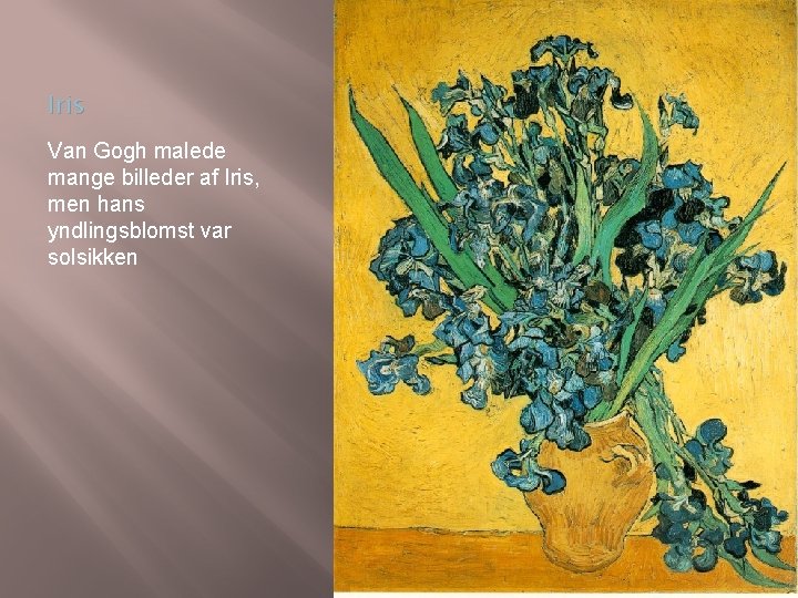 Iris Van Gogh malede mange billeder af Iris, men hans yndlingsblomst var solsikken 