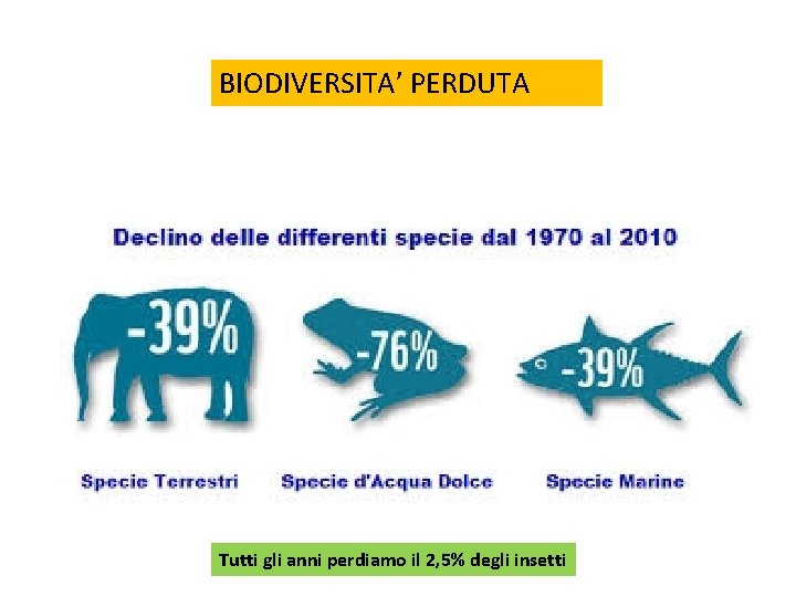 BIODIVERSITA’ PERDUTA Tutti gli anni perdiamo il 2, 5% degli insetti 