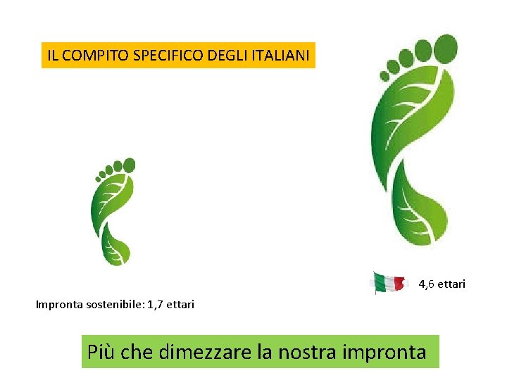 IL COMPITO SPECIFICO DEGLI ITALIANI 4, 6 ettari Impronta sostenibile: 1, 7 ettari Più