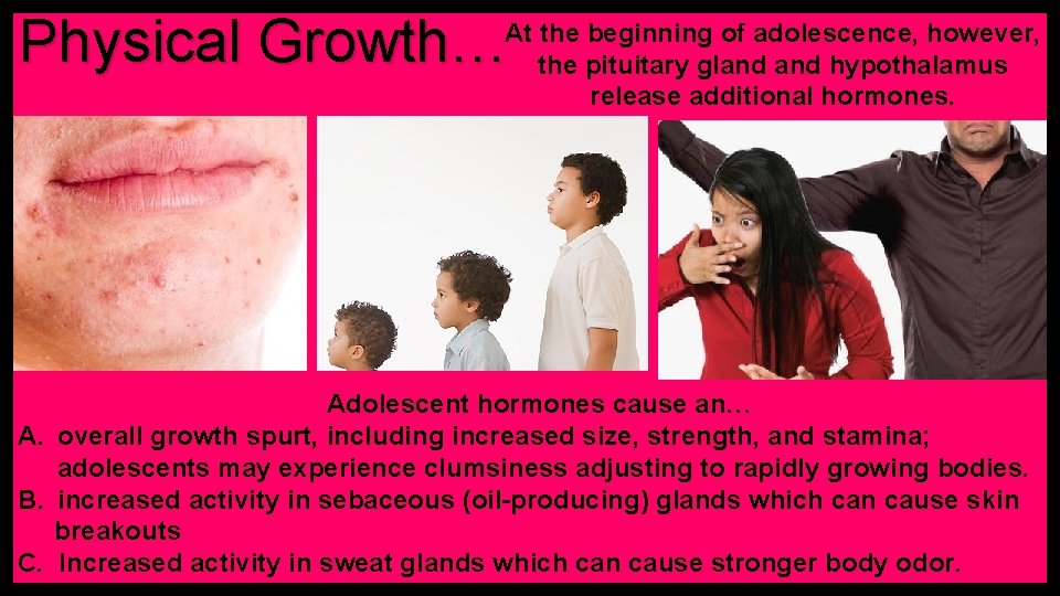 Physical Growth… At the beginning of adolescence, however, the pituitary gland hypothalamus release additional