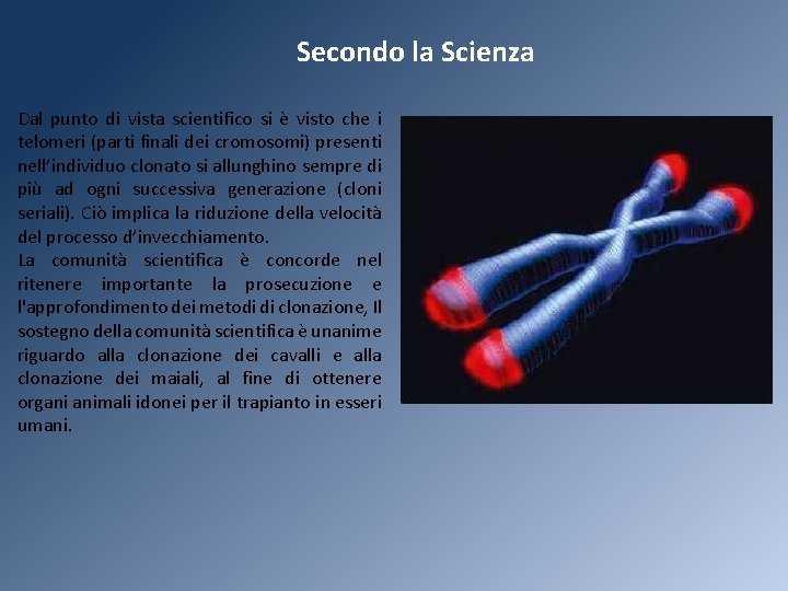 Secondo la Scienza Dal punto di vista scientifico si è visto che i telomeri