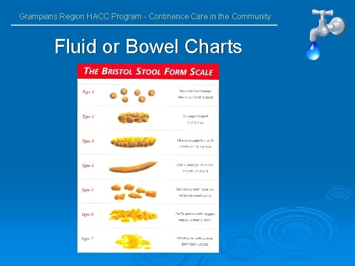 Grampians Region HACC Program - Continence Care in the Community Fluid or Bowel Charts