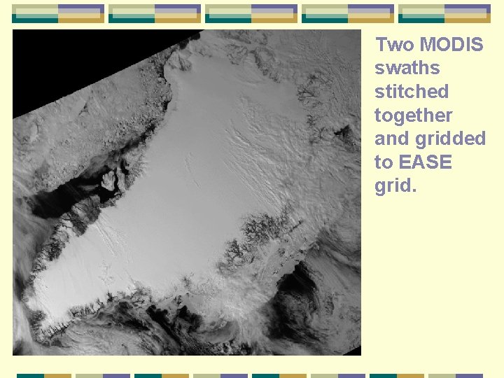 Two MODIS swaths stitched together and gridded to EASE grid. 