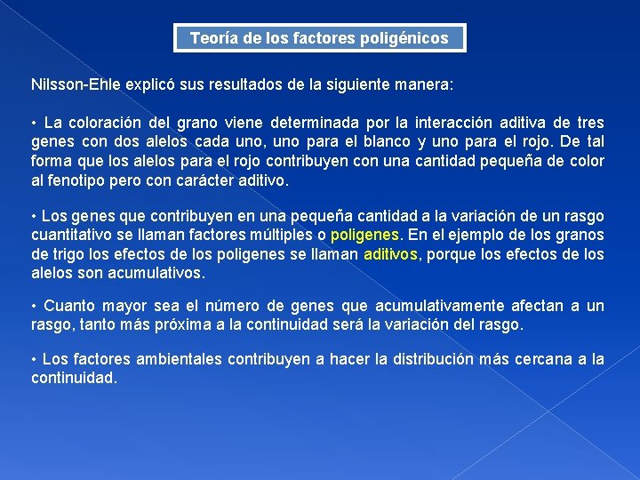 Teoría de los factores poligénicos Nilsson-Ehle explicó sus resultados de la siguiente manera: •