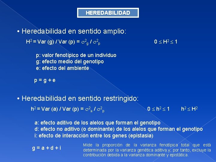 HEREDABILIDAD • Heredabilidad en sentido amplio: H 2 = Var (g) / Var (p)