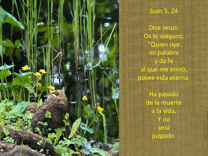 Juan 5, 24 Dice Jesús: Os lo aseguro; ”Quien oye mi palabra y da