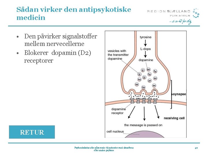Sådan virker den antipsykotiske medicin • Den påvirker signalstoffer mellem nervecellerne • Blokerer dopamin Sådan virker den antipsykotiske medicin • Den påvirker signalstoffer mellem nervecellerne • Blokerer dopamin