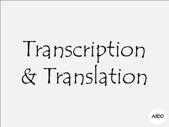 Transcription & Translation A 300 