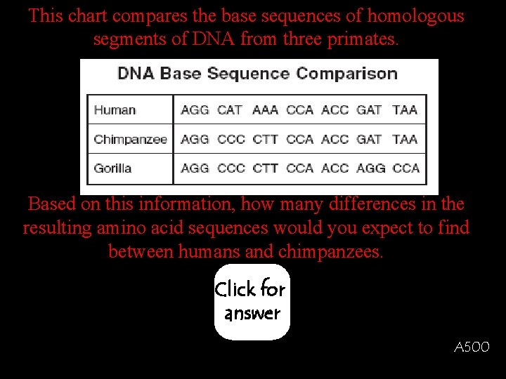 This chart compares the base sequences of homologous segments of DNA from three primates.