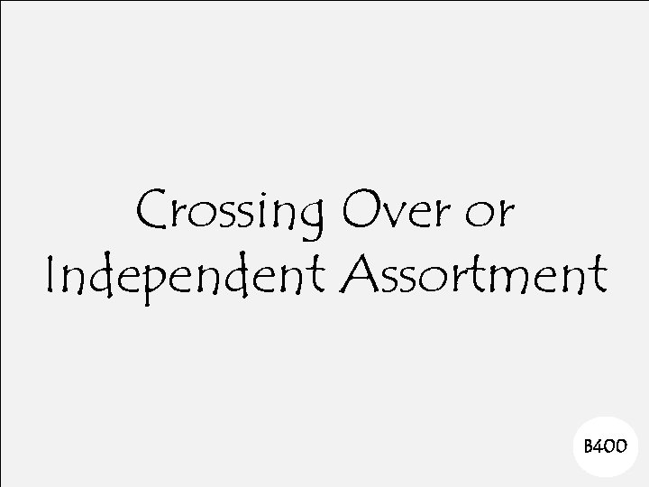 Crossing Over or Independent Assortment B 400 