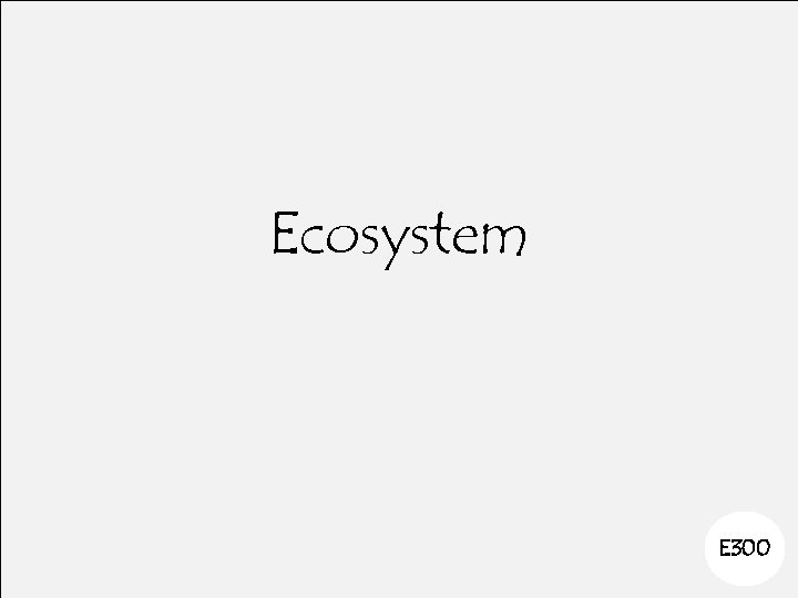 Ecosystem E 300 