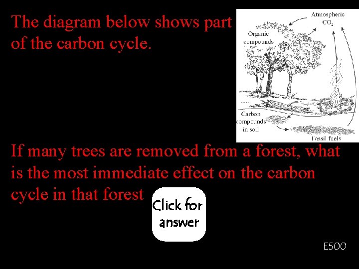 The diagram below shows part of the carbon cycle. If many trees are removed