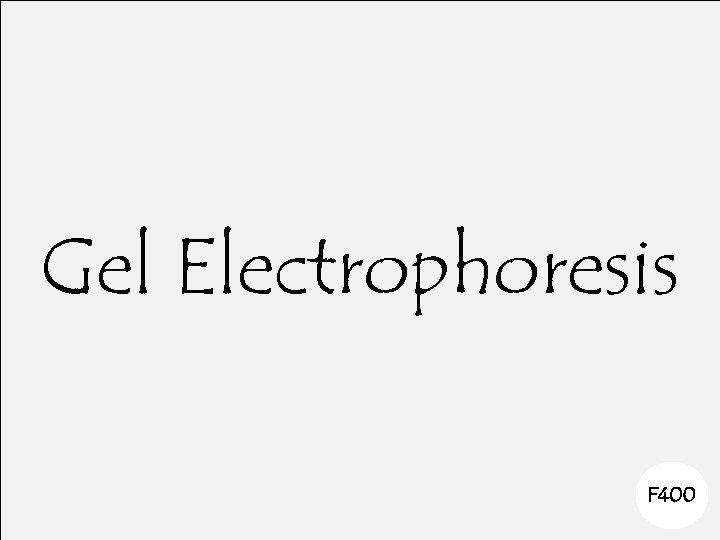Gel Electrophoresis F 400 