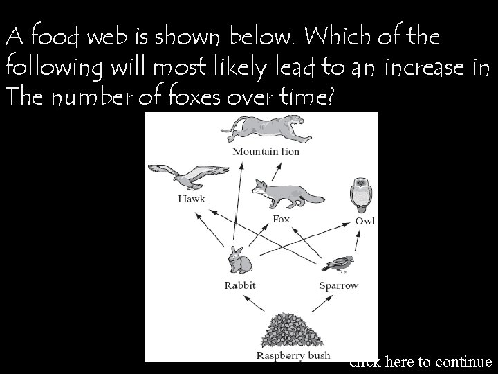 A food web is shown below. Which of the following will most likely lead