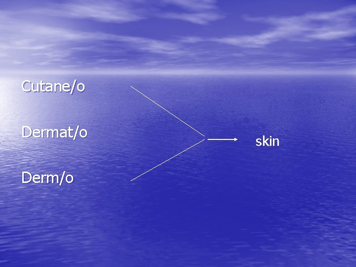 Cutane/o Dermat/o Derm/o skin Cutane/o Dermat/o Derm/o skin