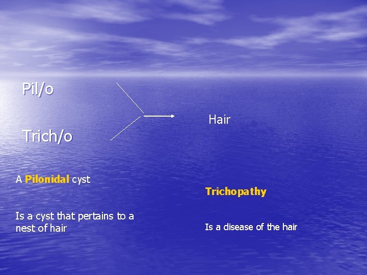 Pil/o Trich/o A Pilonidal cyst Is a cyst that pertains to a nest of Pil/o Trich/o A Pilonidal cyst Is a cyst that pertains to a nest of