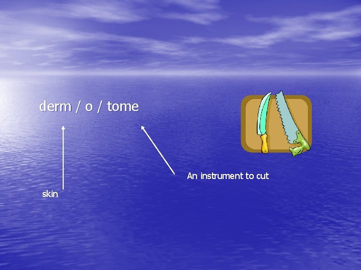 derm / o / tome An instrument to cut skin derm / o / tome An instrument to cut skin