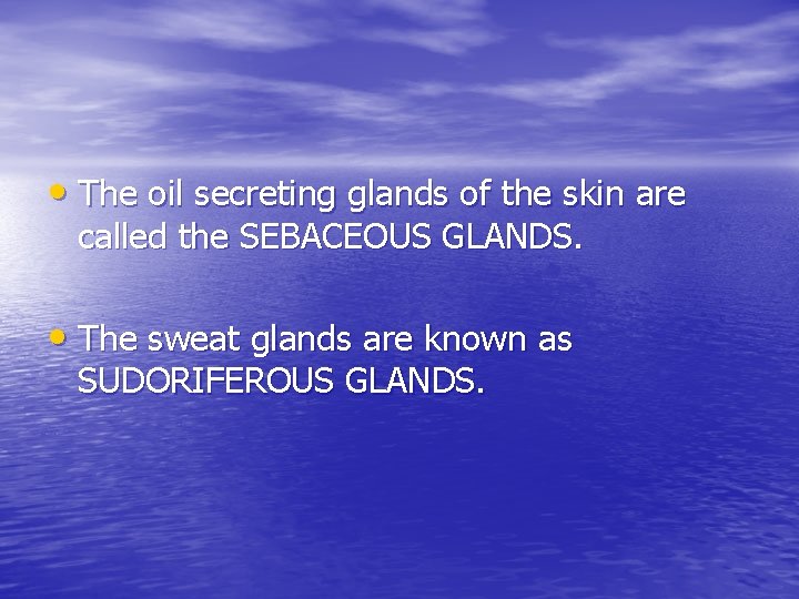 • The oil secreting glands of the skin are called the SEBACEOUS GLANDS. • The oil secreting glands of the skin are called the SEBACEOUS GLANDS.