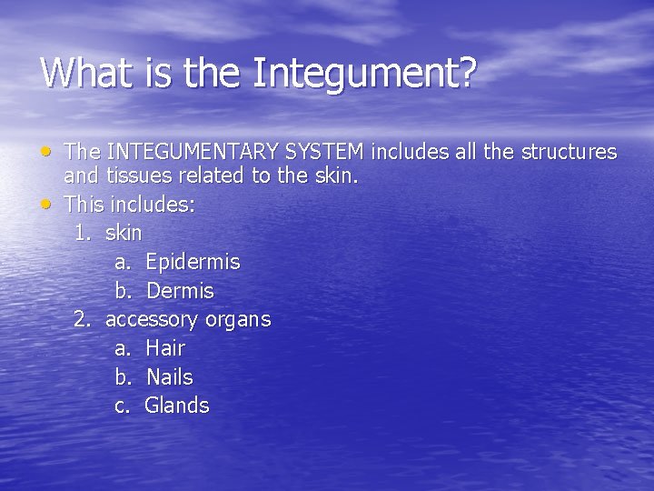 What is the Integument? • The INTEGUMENTARY SYSTEM includes all the structures • and What is the Integument? • The INTEGUMENTARY SYSTEM includes all the structures • and
