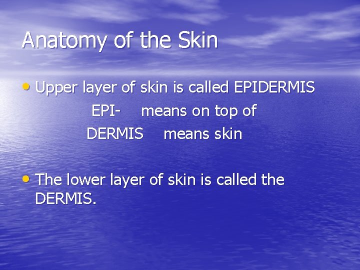 Anatomy of the Skin • Upper layer of skin is called EPIDERMIS EPI- means Anatomy of the Skin • Upper layer of skin is called EPIDERMIS EPI- means