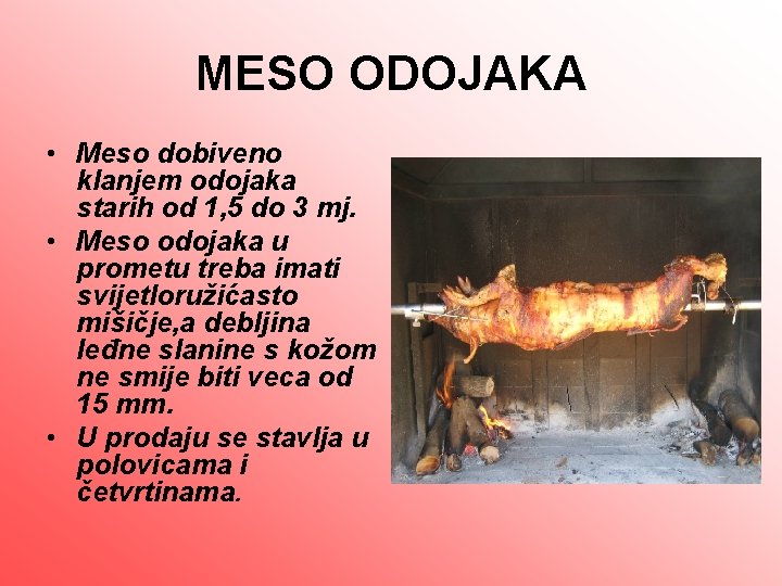 MESO ODOJAKA • Meso dobiveno klanjem odojaka starih od 1, 5 do 3 mj.