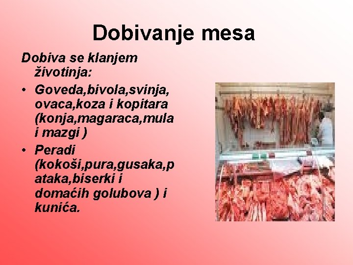 Dobivanje mesa Dobiva se klanjem životinja: • Goveda, bivola, svinja, ovaca, koza i kopitara