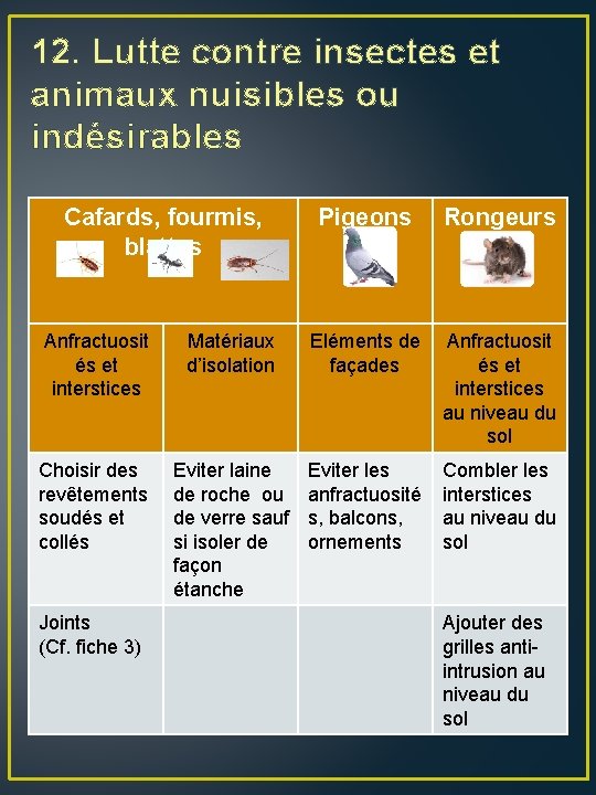 12. Lutte contre insectes et animaux nuisibles ou indésirables Cafards, fourmis, blattes Pigeons Rongeurs