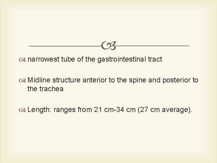  narrowest tube of the gastrointestinal tract Midline structure anterior to the spine and