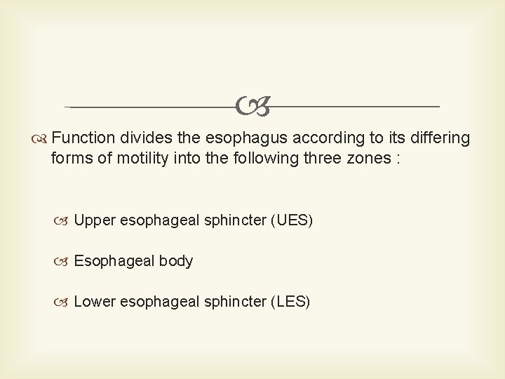  Function divides the esophagus according to its differing forms of motility into the