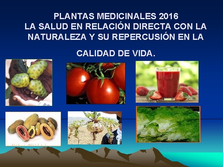  PLANTAS MEDICINALES 2016 LA SALUD EN RELACIÓN DIRECTA CON LA NATURALEZA Y SU