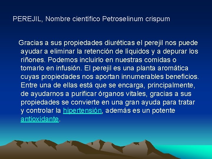 PEREJIL, Nombre científico Petroselinum crispum Gracias a sus propiedades diuréticas el perejil nos puede