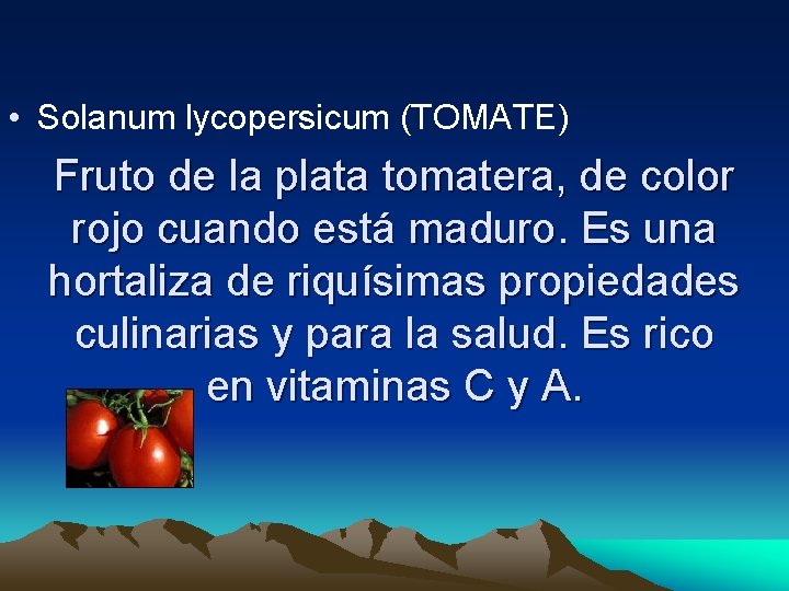  • Solanum lycopersicum (TOMATE) Fruto de la plata tomatera, de color rojo cuando