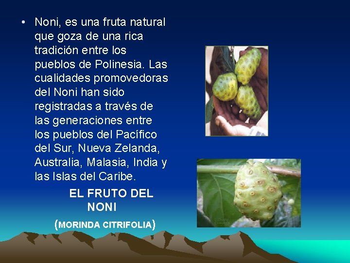  • Noni, es una fruta natural que goza de una rica tradición entre