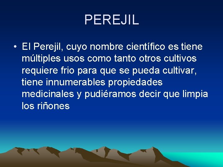 PEREJIL • El Perejil, cuyo nombre científico es tiene múltiples usos como tanto otros