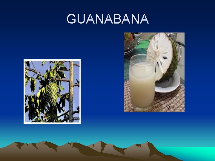 GUANABANA 