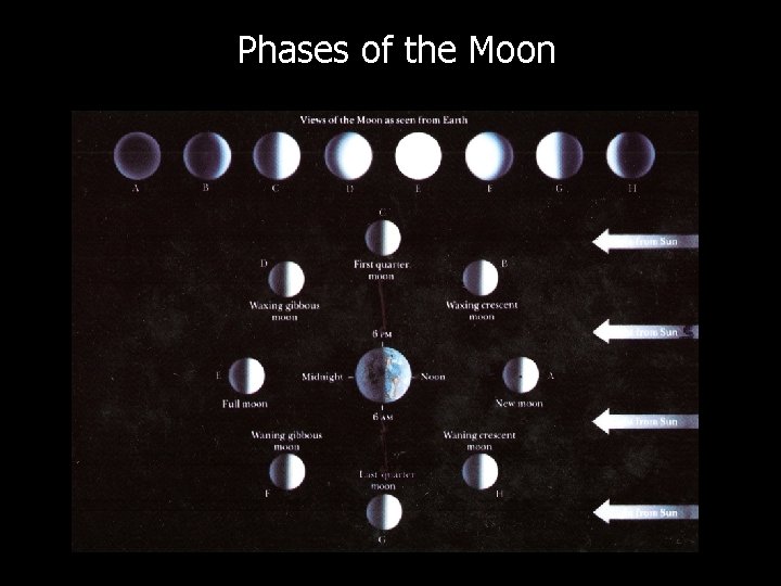 Phases of the Moon 