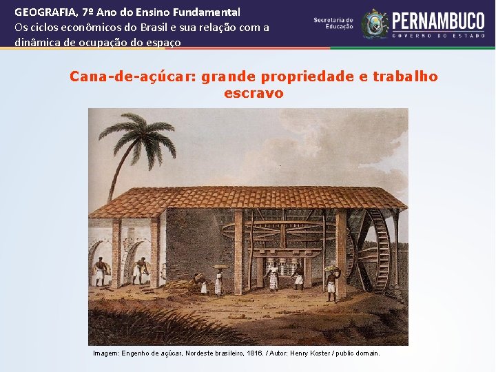 GEOGRAFIA, 7º Ano do Ensino Fundamental Os ciclos econômicos do Brasil e sua relação