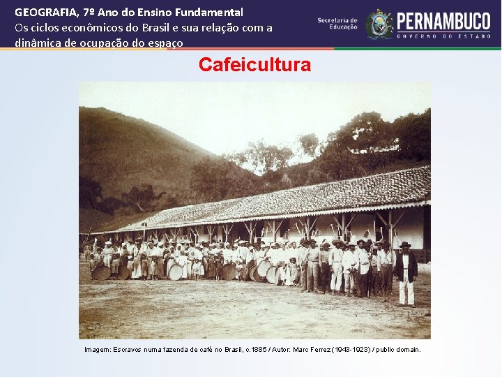 GEOGRAFIA, 7º Ano do Ensino Fundamental Os ciclos econômicos do Brasil e sua relação