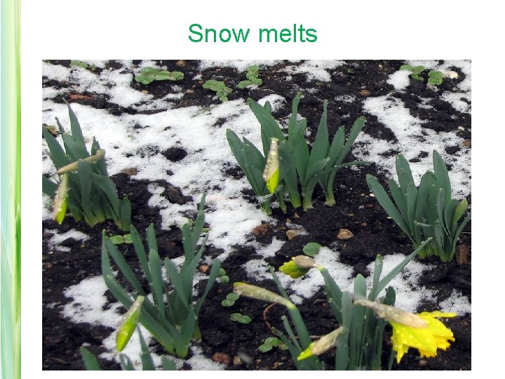 Snow melts 