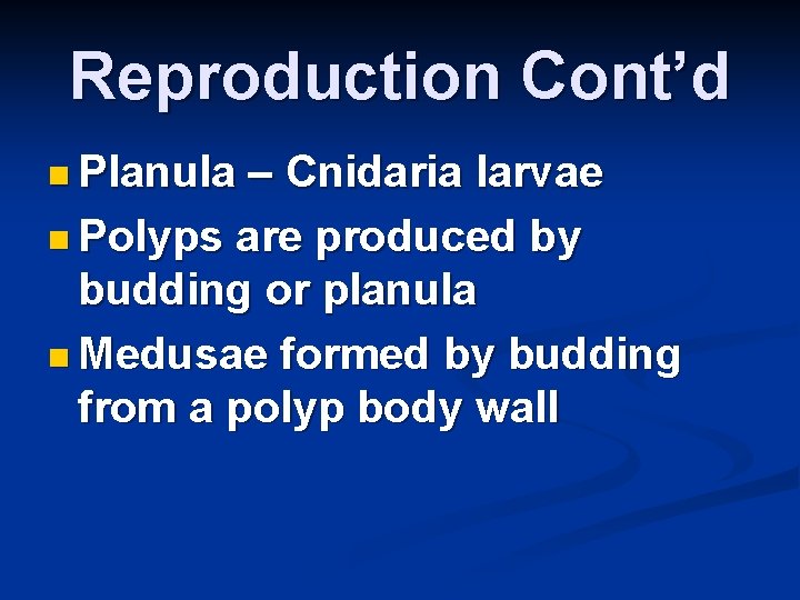 Reproduction Cont’d n Planula – Cnidaria larvae n Polyps are produced by budding or