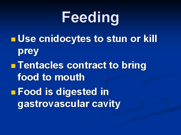 Feeding n Use cnidocytes to stun or kill prey n Tentacles contract to bring