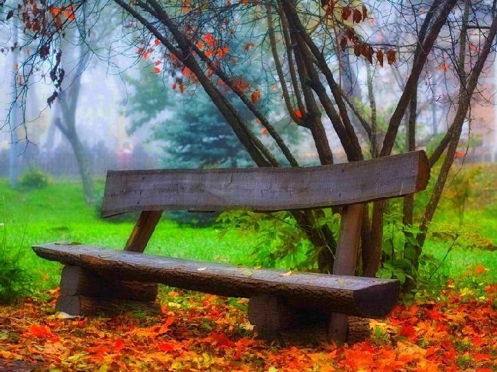 Le vieux banc reste là à ne rien dire, ni aux oiseaux ni aux