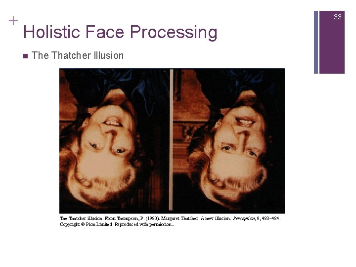 + 33 Holistic Face Processing n The Thatcher Illusion The Thatcher illusion. From Thompson,