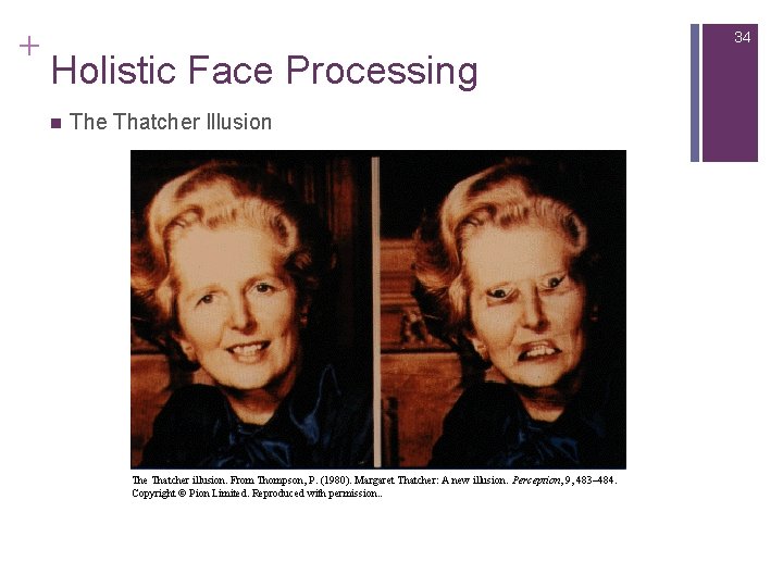 + 34 Holistic Face Processing n The Thatcher Illusion The Thatcher illusion. From Thompson,