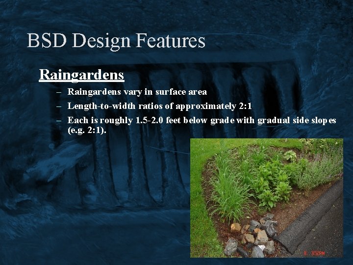 BSD Design Features Raingardens – Raingardens vary in surface area – Length-to-width ratios of