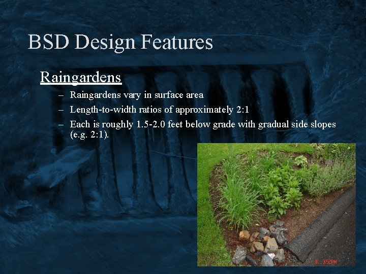 BSD Design Features Raingardens – Raingardens vary in surface area – Length-to-width ratios of