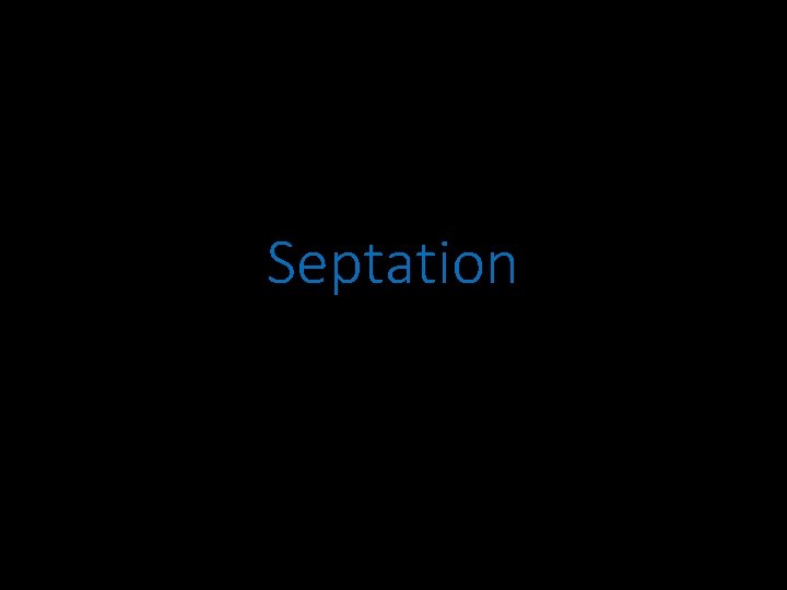 Septation 